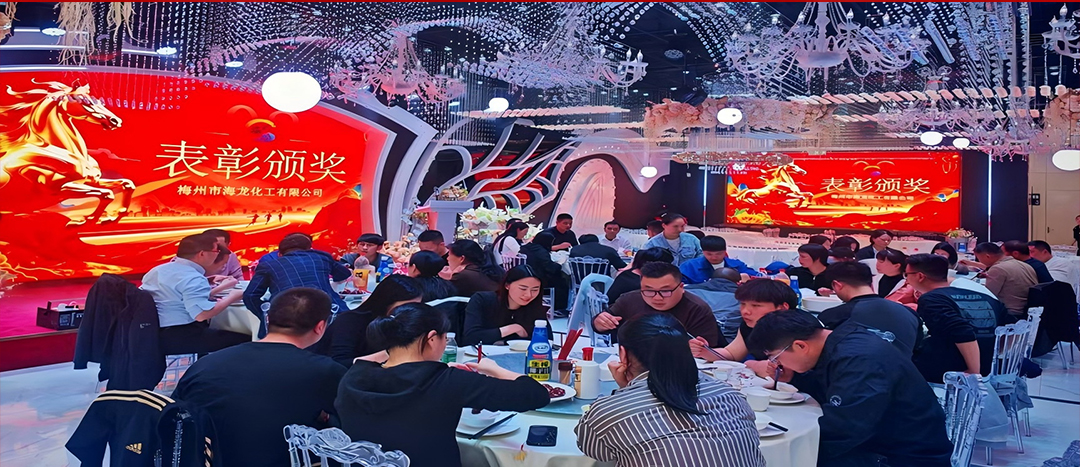 騏驥開(kāi)道，奮進(jìn)新篇 | 海龍化工2025年終工作總結(jié)表彰暨團(tuán)年晚宴圓滿落幕